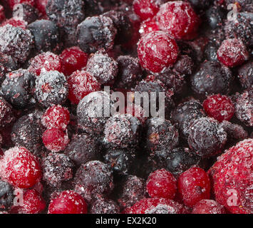 Fruits et baies congelées dans l'échelle macro Banque D'Images