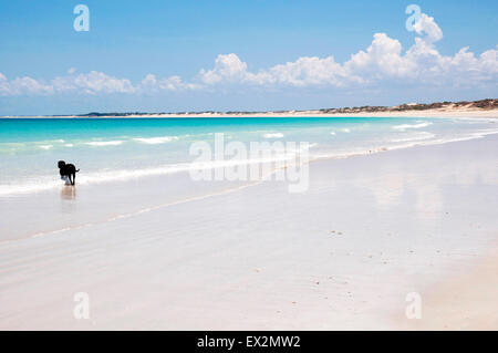 - Cable Beach Broome - Australie Banque D'Images