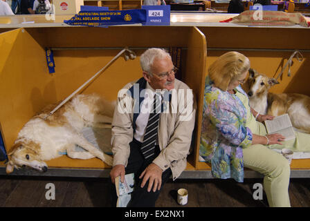 Les chiens étant prêt pour le spectacle, à voir Royal Adelaide, Australie du Sud. Banque D'Images