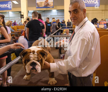 Les chiens étant prêt pour le spectacle, à voir Royal Adelaide, Australie du Sud. Banque D'Images