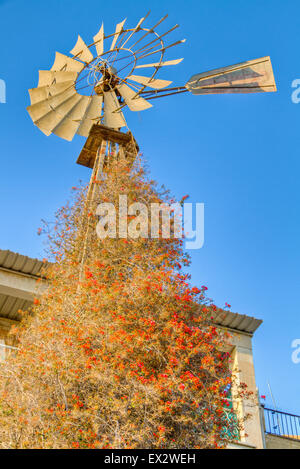 Moulin à vent traditionnel contre le ciel bleu- Phaneromeni salon, Nicosie, Chypre Banque D'Images