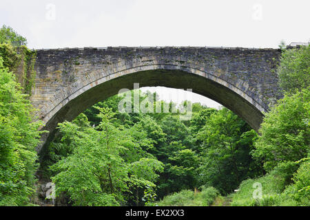 Causey Arch, la plus ancienne arche unique pont de chemin de fer, près de Stanley, comté de Durham. Banque D'Images