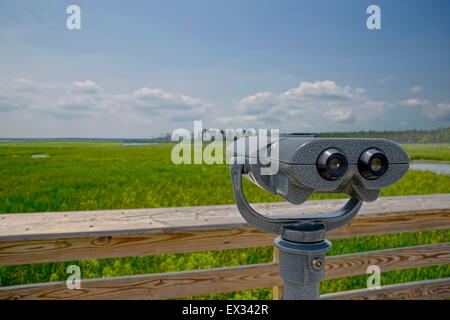 Ensemble de jumelles fixées à une vue panoramique de la réserve naturelle nationale de Blackwater dans le comté de Dorchester, MD USA. Banque D'Images