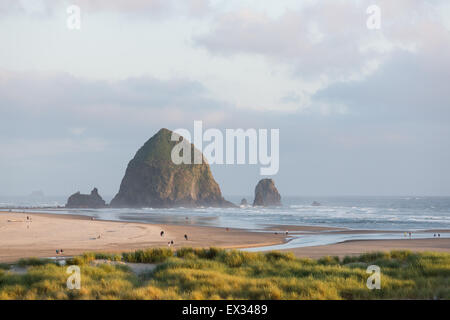 Une vue sur l'emblématique de Haystack Rock d'Ecola Creek près de Cannon Beach, Oregon. Banque D'Images