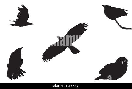 Les grands oiseaux, silhouettes Illustration de Vecteur