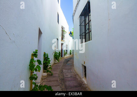 Rues de maisons blanches typiques de la ville de Cordoba, Espagne Banque D'Images