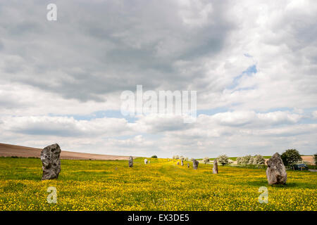 Avebury Stone Circle néolithique site. L'Avenue West Kennet de pierres menant à la main, le cercle de pierres (invisible). Vue grand angle, nuageux. Banque D'Images