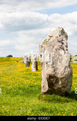 Avebury Stone Circle néolithique site. L'Avenue West Kennet de pierres menant à la main, le cercle de pierres (invisible). Vue grand angle, nuageux. Banque D'Images