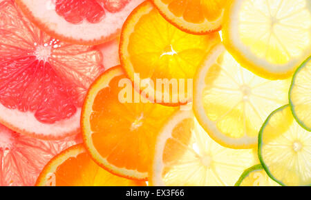 Panneaux de fond d'agrumes (pamplemousse, orange, citron, citron vert) Banque D'Images