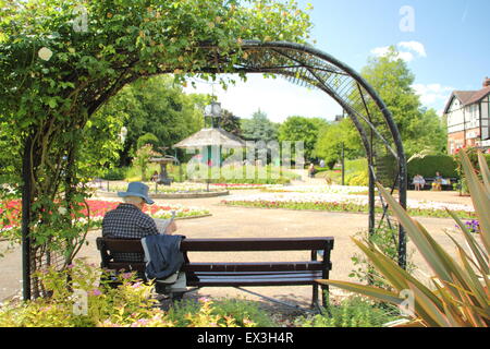 Un homme lit un journal assis sous un passage de rose sur une journée ensoleillée dans Hall Leys Park, Matlock, Derbyshire Dales, England UK Banque D'Images