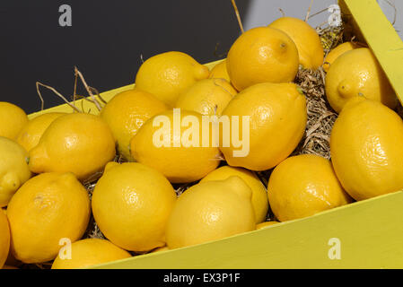 Beaucoup de citrons mûrs dans des caisses en bois Banque D'Images