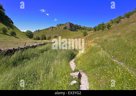 Dale Lathkill vallée sèche, parc national de Peak District, Derbyshire, Angleterre, Royaume-Uni. Banque D'Images