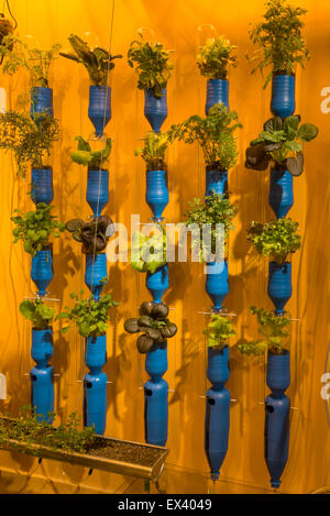 MILAN, ITALIE - 7 mai : Détail de l'intérieur Jardinage vertical pavillon allemand , tourné le 7 mai 2015 Milan, Italie Banque D'Images