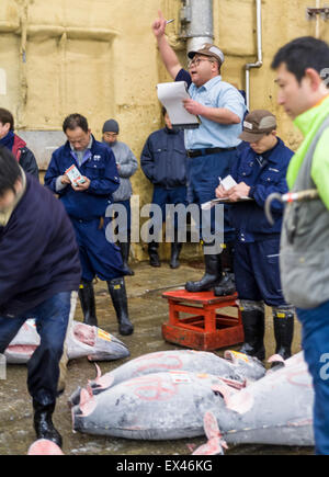 Commissaire-priseur et les acheteurs à la vente aux enchères de thon au petit matin, marché aux poissons de Tsukiji vente en gros, Tokyo, Japon Banque D'Images