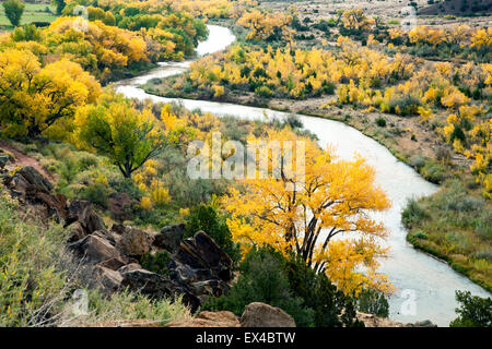 Chama River et de peupliers en automne, couleurs, Nouveau Mexique USA Abiquiu Banque D'Images