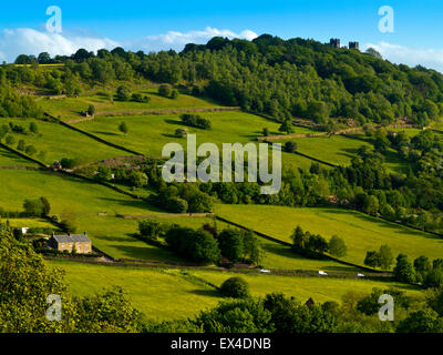 Voir à travers champs vers Riber Castle un folie victorienne près de Matlock Derbyshire Dales dans le Peak District en Angleterre UK Banque D'Images