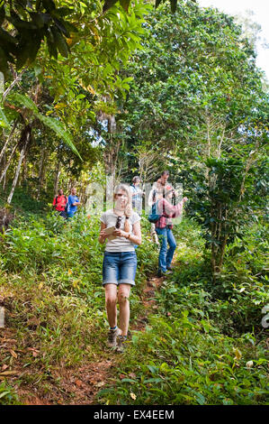 Portrait vertical d'un groupe de touristes marchant à travers le Parc National de Topes de Collantes à Cuba. Banque D'Images