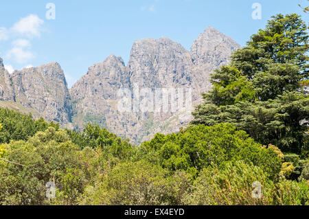 Les montagnes Hottentots-Holland s'élevant au-dessus de l'environnement près de la Réserve Naturelle de Jonkershoek Banque D'Images