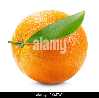 Avec la feuille orange isolé sur fond blanc. Banque D'Images