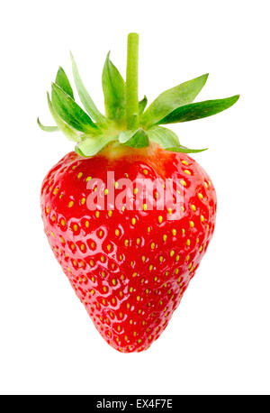 Fraise juteuse sur le fond blanc. Banque D'Images