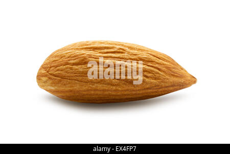 Les amandes de noix isolé sur le fond blanc. Banque D'Images