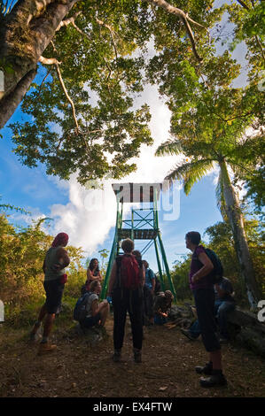 Vue verticale de touristes à un poste de guet en Topes de Collantes Parc National de Cuba. Banque D'Images