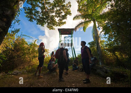 Vue horizontale de touristes à un poste de guet en Topes de Collantes Parc National de Cuba. Banque D'Images