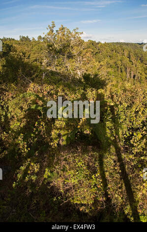 Vue verticale d'un lookout en Topes de Collantes Parc National de Cuba. Banque D'Images