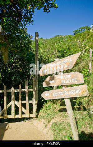 Vue verticale de panneaux en bois dans le Parc National Turquino, Cuba. Banque D'Images