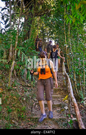 Vue verticale de touristes de trekking à travers le Parc National Turquino, Cuba. Banque D'Images