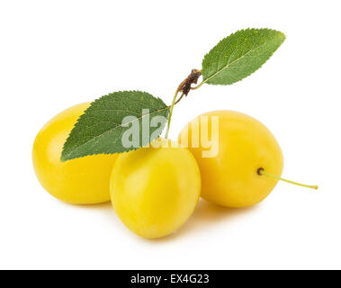 Les prunes cerise jaune isolé sur fond blanc. Banque D'Images
