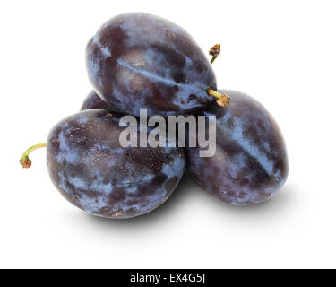 Les prunes violettes isolé sur le fond blanc. Banque D'Images