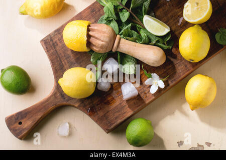 Tas d'ensemble et des tranches de citrons, limes et menthe agrumes avec l'alésoir et des cubes de glace sur la planche à découper en bois sur fond de bois. Banque D'Images