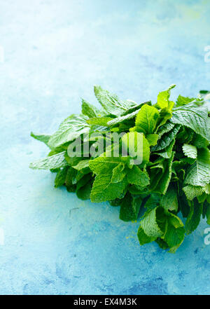 Bouquet de feuilles de menthe sur fond de bois vert- bleu Banque D'Images