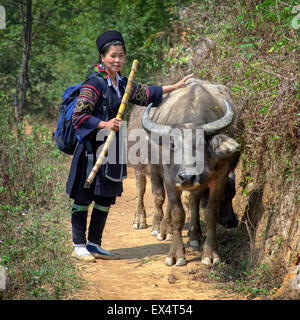 Une femme Hmong et son buffle d'eau regardant la caméra sur un sentier. Banque D'Images