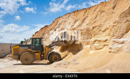 Serti de chargement avec un tracteur de maïs à un Feedyard Boeuf près de North Platt, Nebraska, USA. Le maïs est serti appelé Mo Banque D'Images