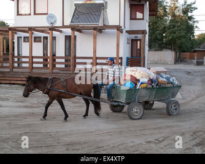 Un cheval tirant un chariot avec des marchandises dans le village Sanfi George dans le delta du Danube en Roumanie Banque D'Images