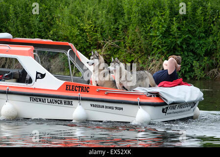 Bateau de location à coltishall, Norfolk Broads, Angleterre Banque D'Images