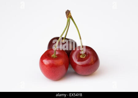 Trois cerises sur fond blanc. Banque D'Images