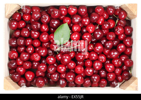 Cerises fruits en boîte en bois isolé sur fond blanc Banque D'Images