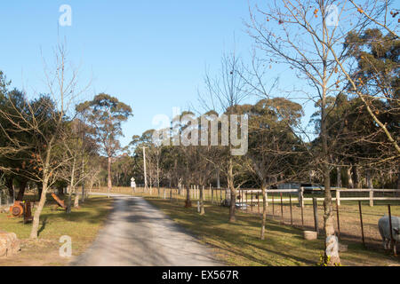 Séjour à la ferme vacances à Banksia park cottages à Kangaroo Valley, New South Wales, Australie Banque D'Images