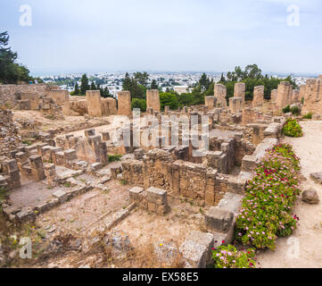 La Tunisie. L'ancienne Carthage. Les ruines anciennes dans le district de Byrsa Punique Banque D'Images