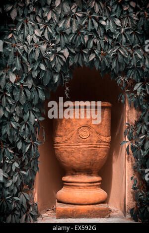 Détail de l'urne en terre cuite dans le jardin de la renaissance italienne dans les jardins botaniques de Hamilton, Nouvelle-Zélande. Les feuilles modifiées numériquement Banque D'Images