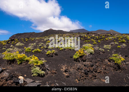 ESP, l'Espagne, les Canaries, l'île de La Palma, de solidifier la lave du volcan Teneguia à la côte près de Fuencaliente. ESP Banque D'Images