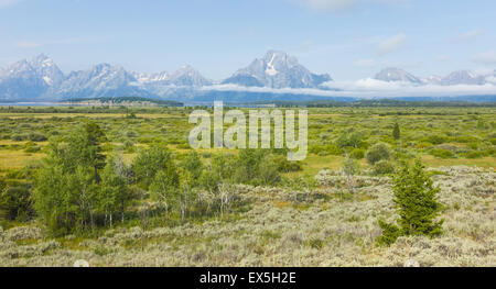 Vue panoramique sur la montagne de Grand Tetons comme vu à travers le bush et des prairies. Banque D'Images