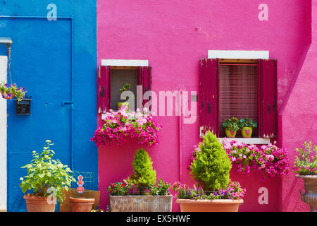 Les plantes et les fleurs à l'extérieur de maisons peintes en couleurs de Burano Lagune de Venise Vénétie Italie Europe Banque D'Images