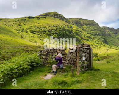 Femme l'observation des oiseaux dans le parc national de Brecon Beacons, Powys, Wales, UK Banque D'Images