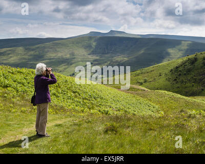 Femme l'observation des oiseaux dans le parc national de Brecon Beacons, Powys, Wales, UK Banque D'Images