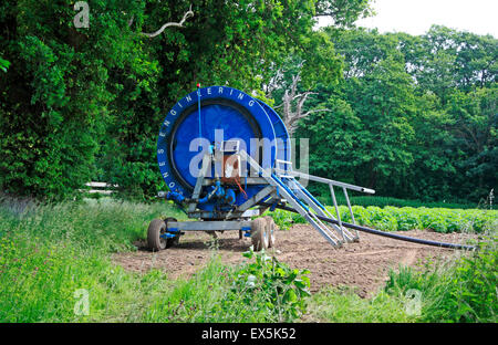 Matériel d'irrigation pour une utilisation par temps sec sur une ferme dans la campagne du Norfolk. Banque D'Images