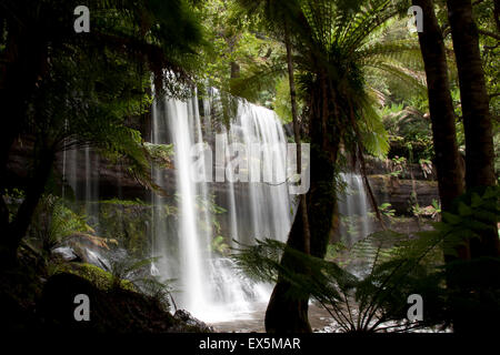 Russell Falls - parc national du mont Field - Tasmanie Banque D'Images